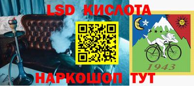 дмт Шелехов