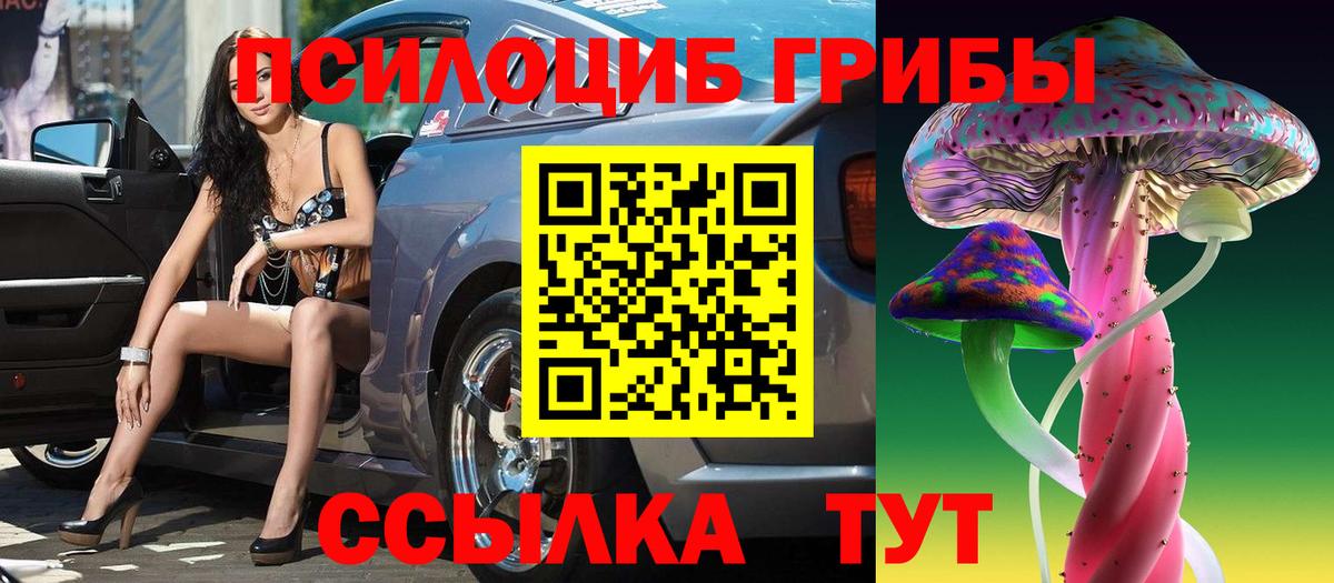 Псилоцибиновые грибы Cubensis  Псилоцибиновые грибы GOLDEN TEACHER  Махачкала  Вход с VPN 